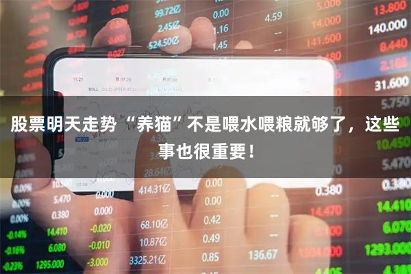 股票明天走势 “养猫”不是喂水喂粮就够了，这些事也很重要！