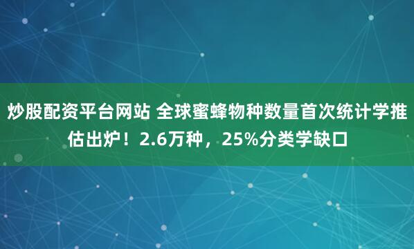 炒股配资平台网站 全球蜜蜂物种数量首次统计学推估出炉！2.6万种，25%分类学缺口