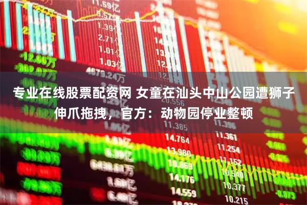 专业在线股票配资网 女童在汕头中山公园遭狮子伸爪拖拽，官方：动物园停业整顿