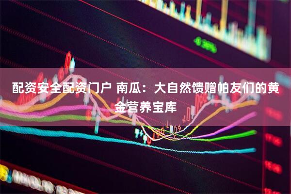 配资安全配资门户 南瓜：大自然馈赠帕友们的黄金营养宝库